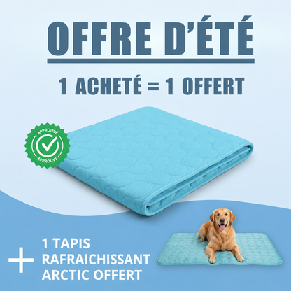 Tapis Rafraîchissant Arctic™ Pour Chien