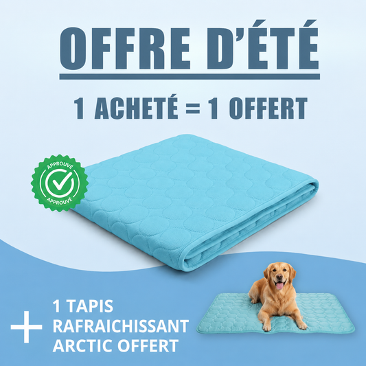 Tapis Rafraîchissant Arctic™ Pour Chien