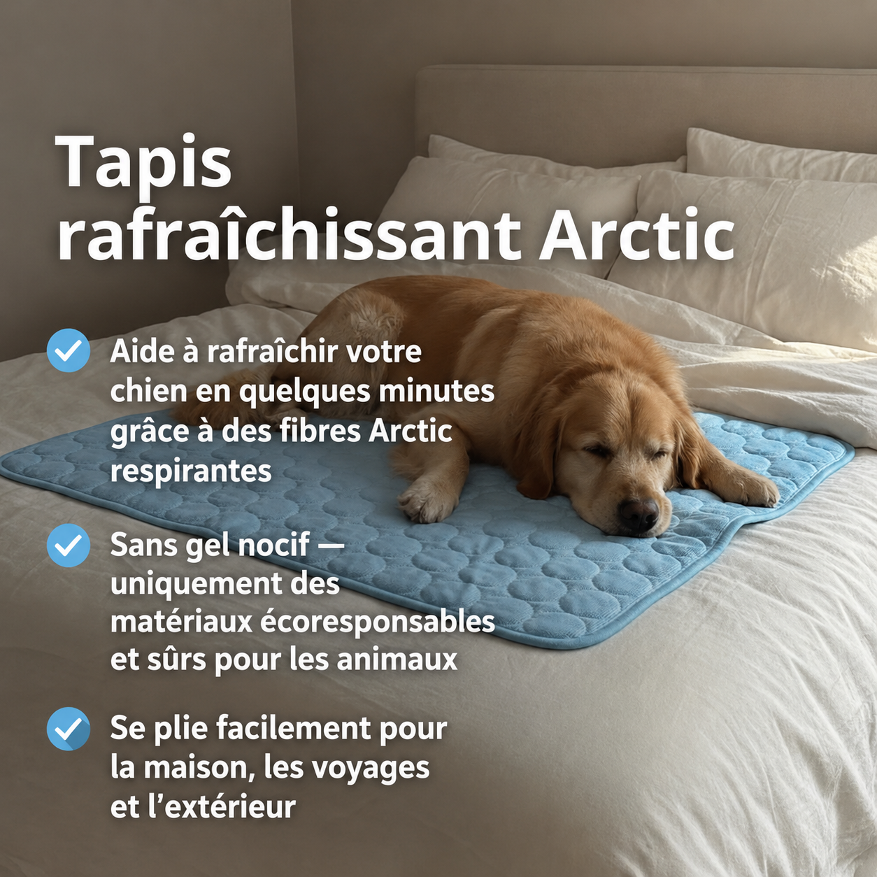 Tapis Rafraîchissant Arctic™ Pour Chien