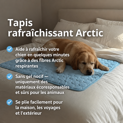 Tapis Rafraîchissant Arctic™ Pour Chien