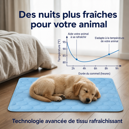 Tapis Rafraîchissant Arctic™ Pour Chien