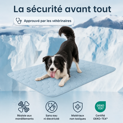 Tapis Rafraîchissant Arctic™ Pour Chien