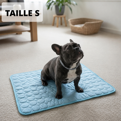 Tapis Rafraîchissant Arctic™ Pour Chien