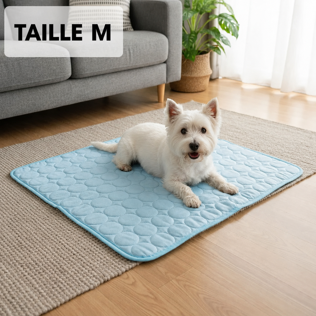 Tapis Rafraîchissant Arctic™ Pour Chien