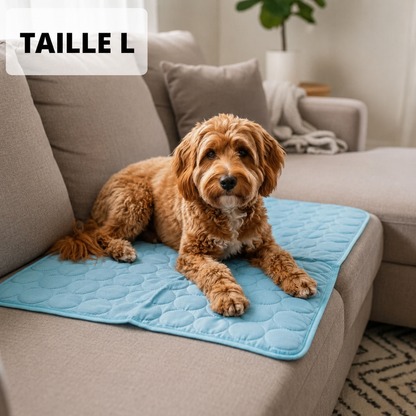 Tapis Rafraîchissant Arctic™ Pour Chien