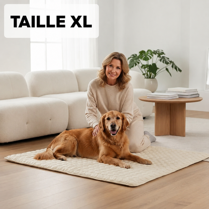 Tapis Rafraîchissant Arctic™ Pour Chien