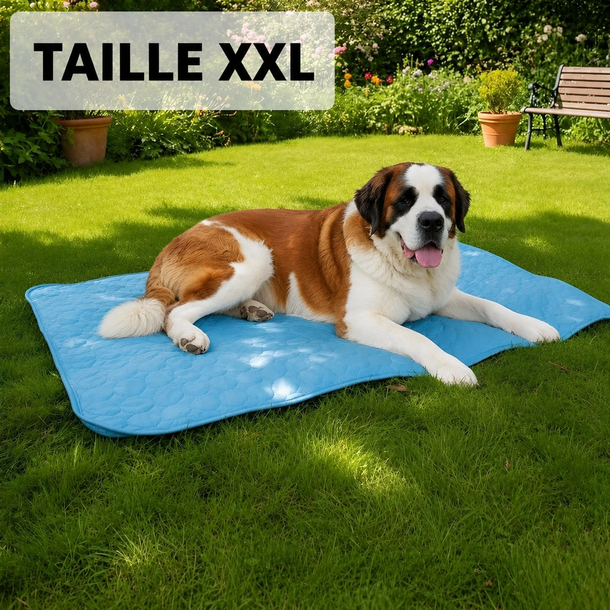Tapis Rafraîchissant Arctic™ Pour Chien