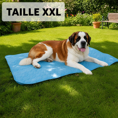 Tapis Rafraîchissant Arctic™ Pour Chien